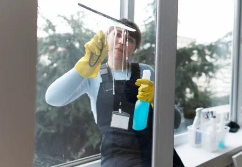 Nettoyage de vitres intérieures et extérieures à Alexain